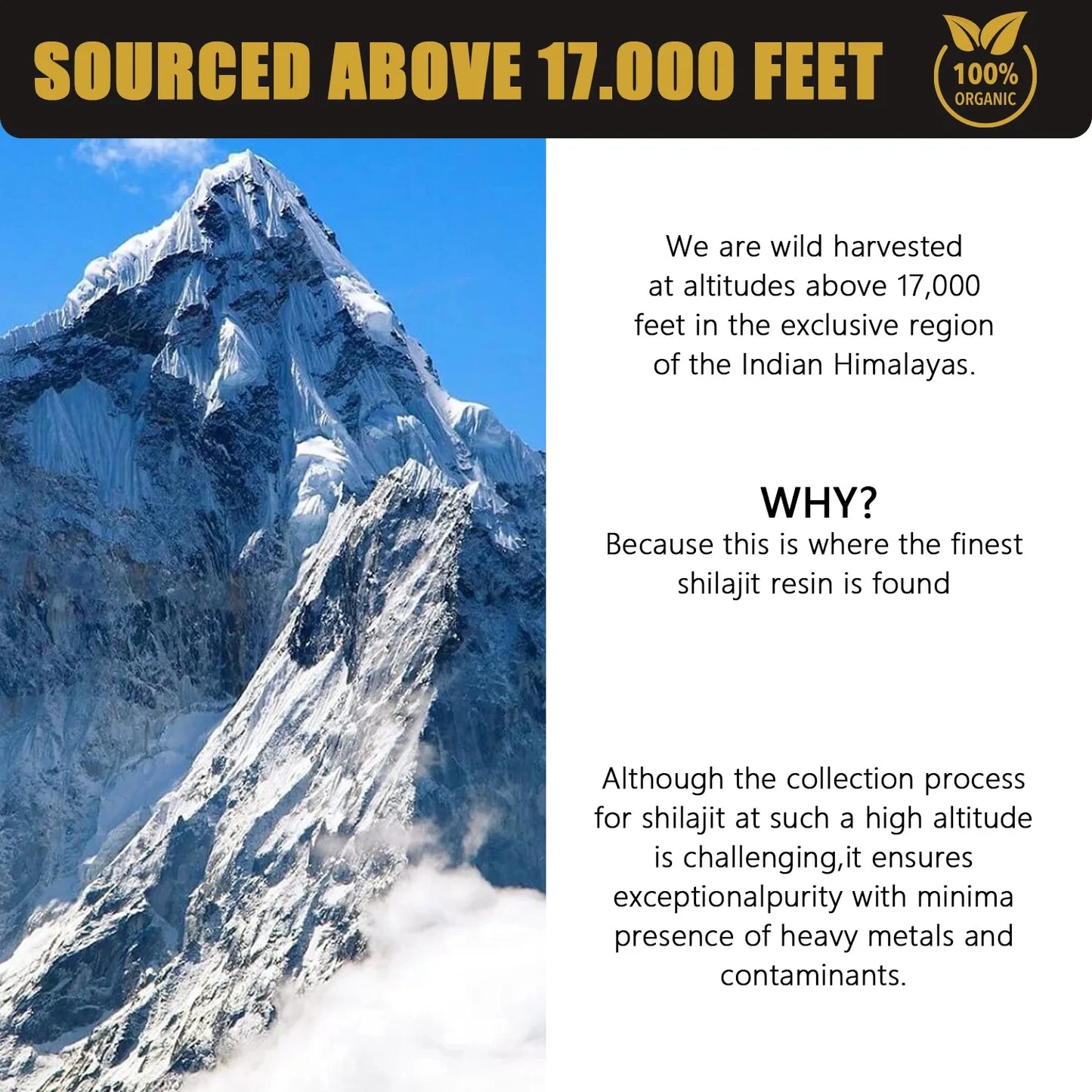 BIYODE Himalayan 100% Pure Shilajit with Folic Acid & 85+ Trace Minerals